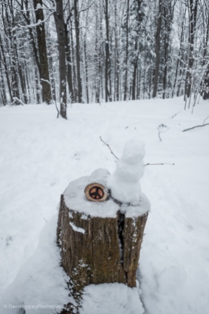 Trail marker with small snow man someone created during the day
